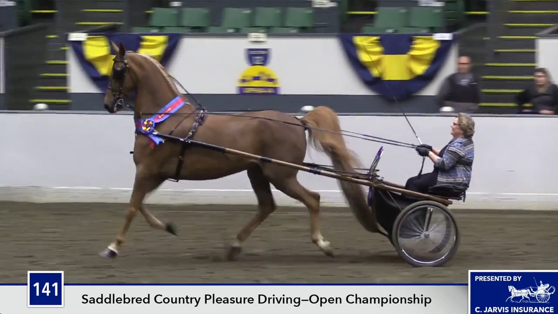 UPHACh14 17 - Roselane's Top Contender - Championship