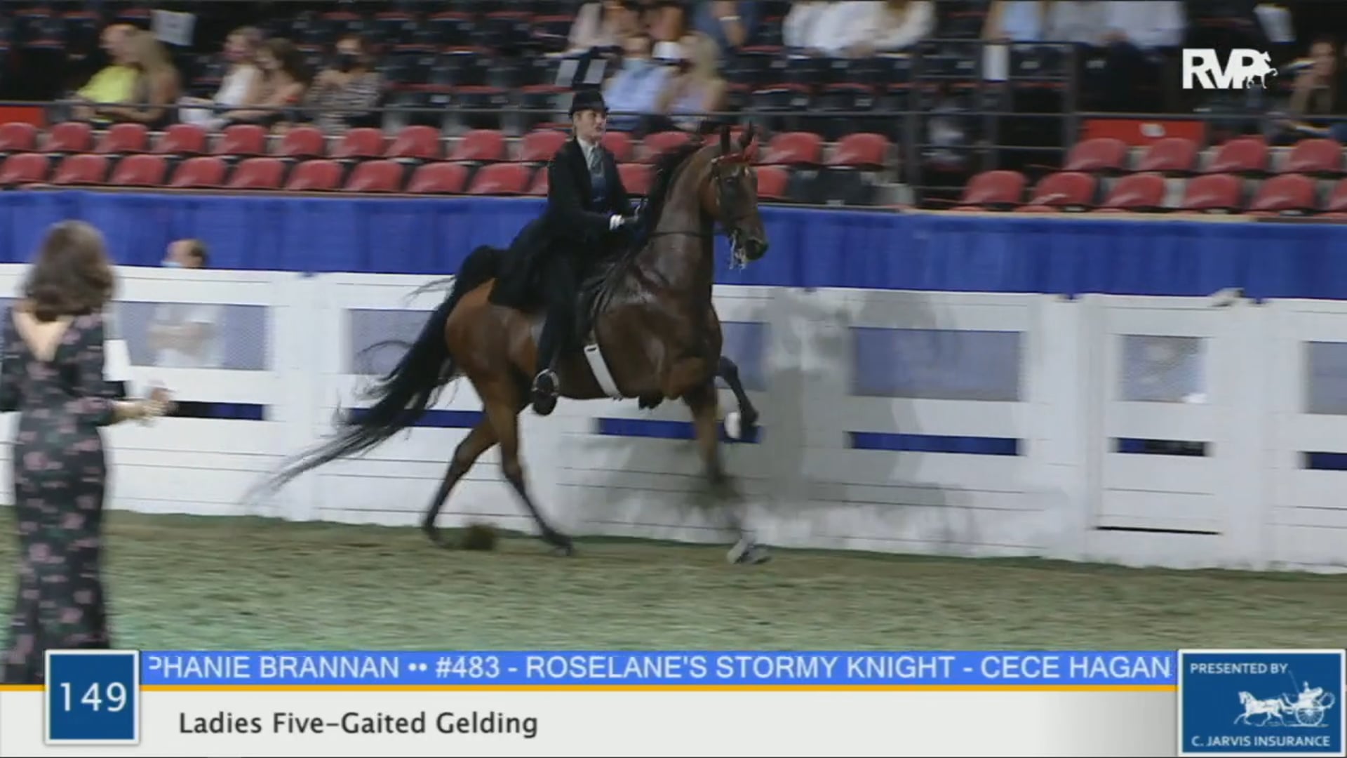 WCHS 2020 Class 149 - Ladies Five-Gaited Gelding
