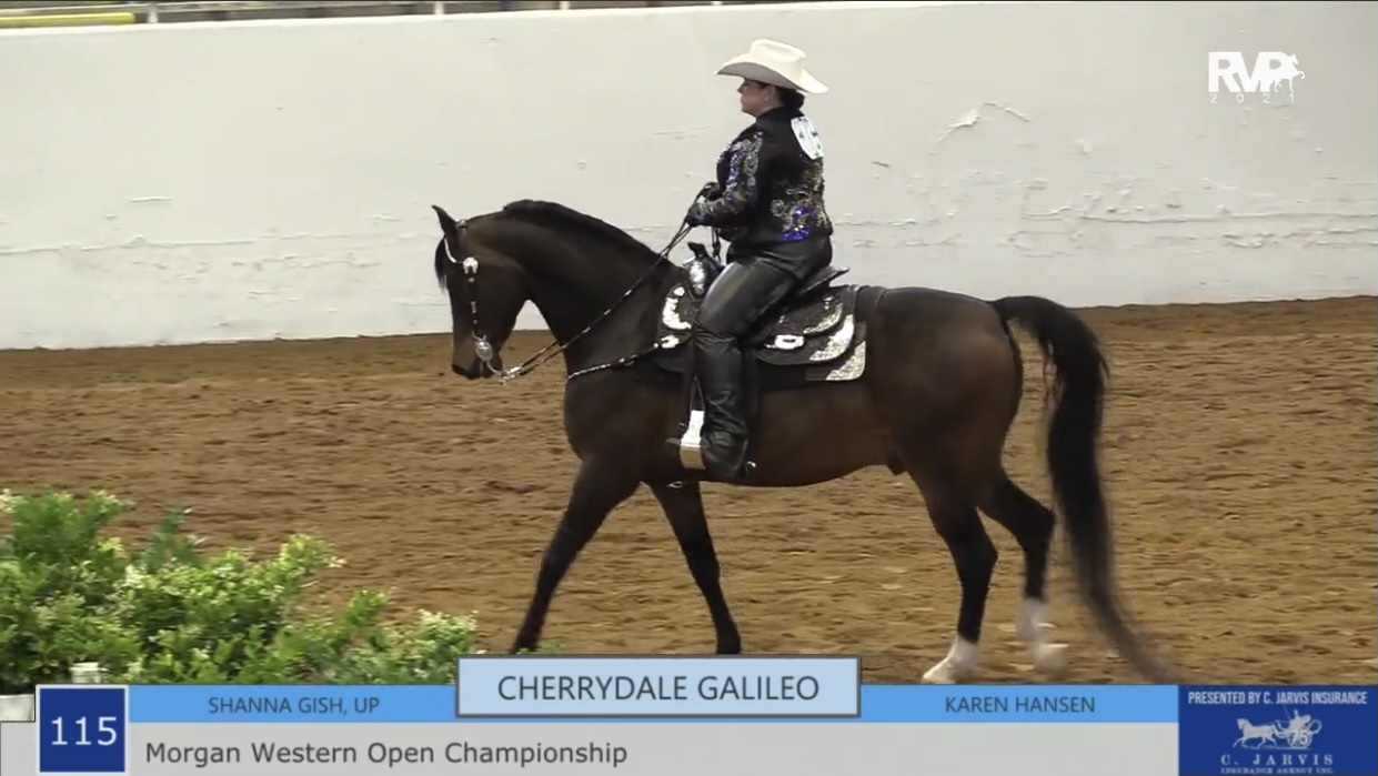 BB21 - Class 115 - Morgan Western Open Championship