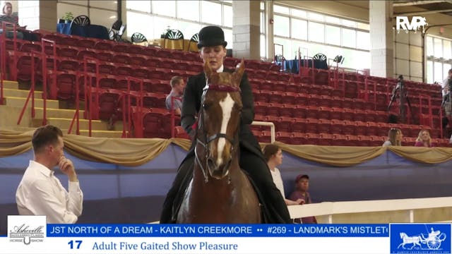 ASC24 - Class 17 - Adult Five Gaited ...