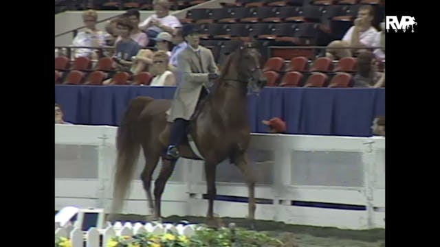 1996 WCHS Class 67 - ASB Three Gaited...