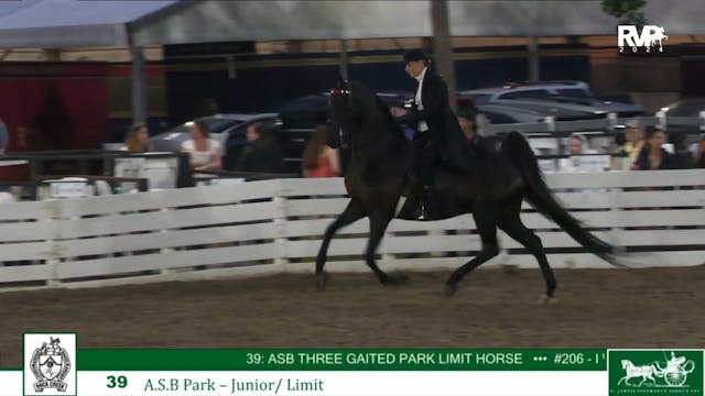 RC24 - Class 39 - ASB Three Gaited Pa...