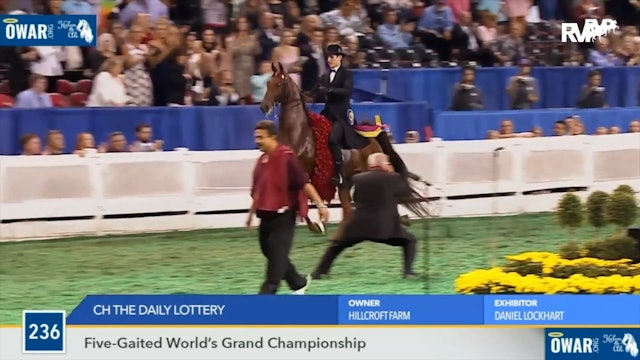 2019 World's Championship Horse Show - Sunday Afternoon