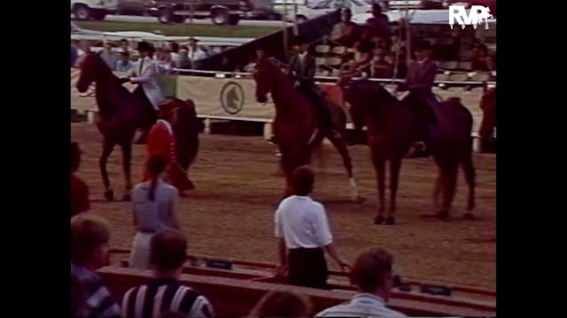LJL 1995 - Class 52 - Junior Exhibito...
