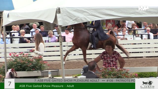 RC22 - Class 7 - ASB Five Gaited Show...