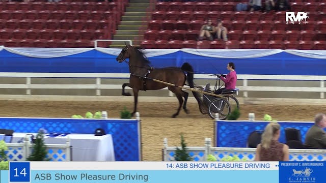ASF21 - Class 14 - ASB Show Pleasure ...