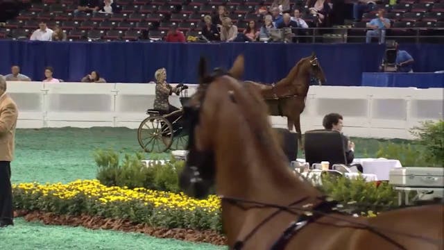 2012 World's Championship Horse Show ...