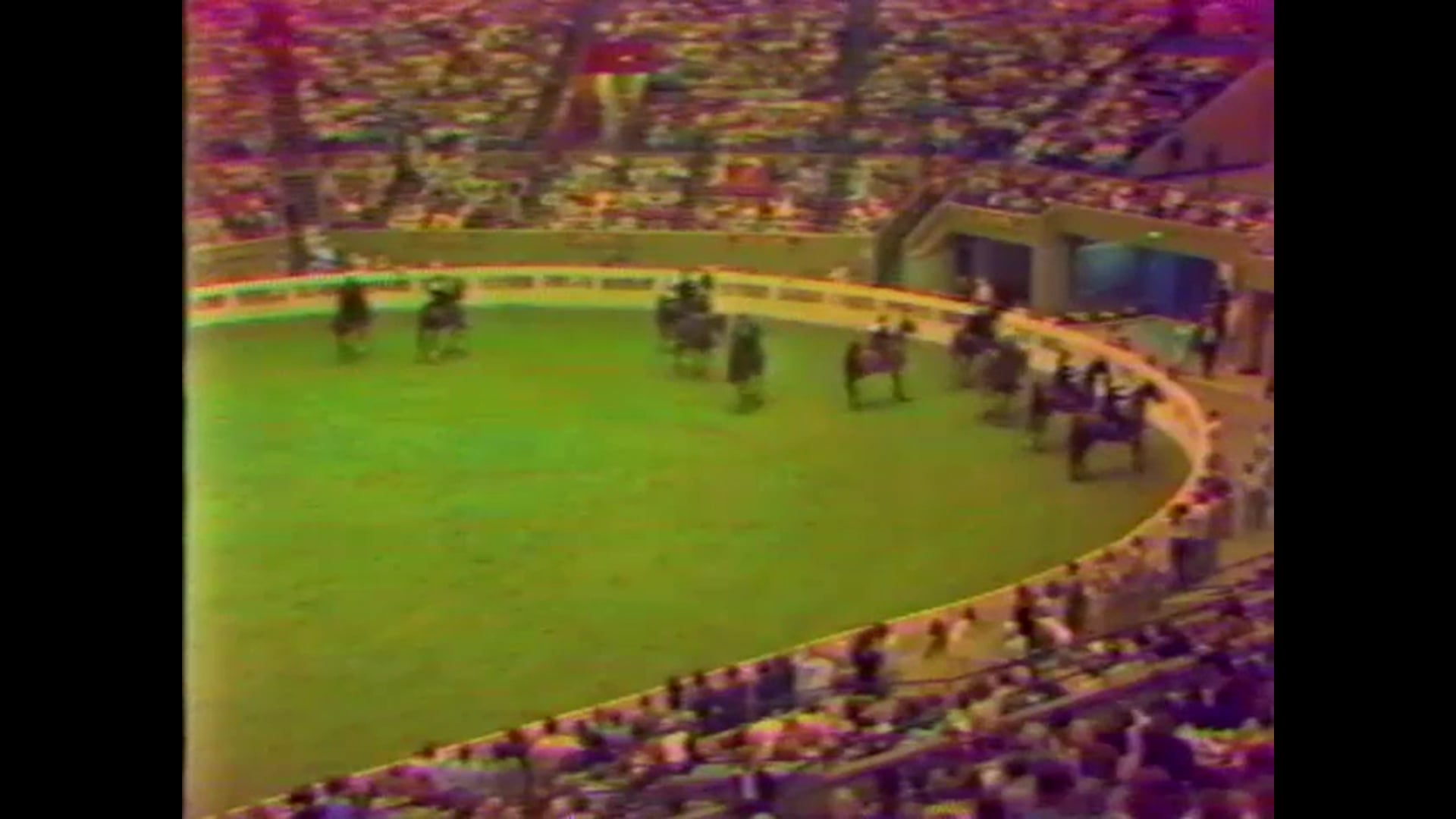 American Saddlebred Grand National - 1977 World's Championship Horse Show Highlights