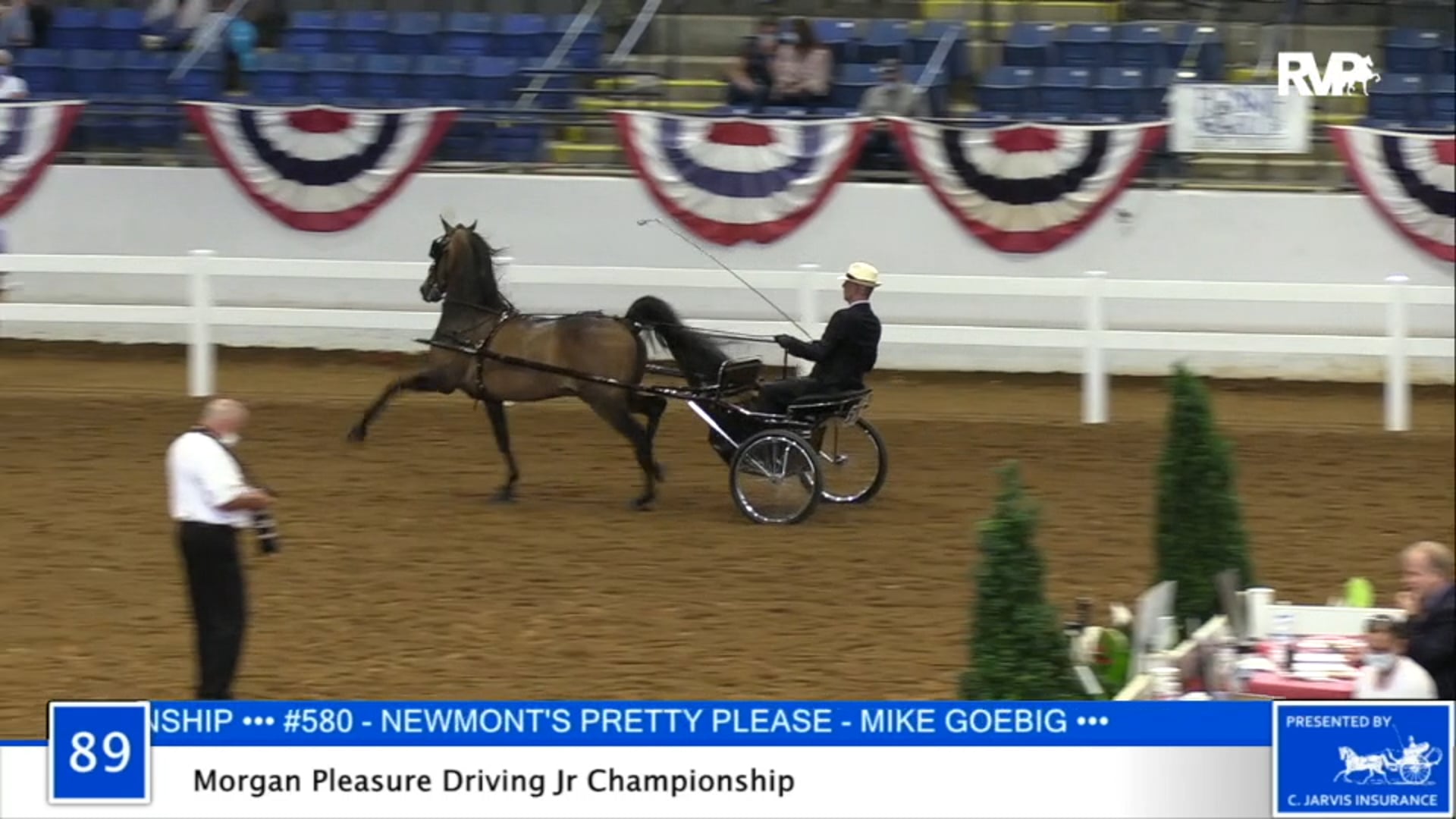 2020 BB - Class 89 Morgan Pleasure Driving Junior
Championship