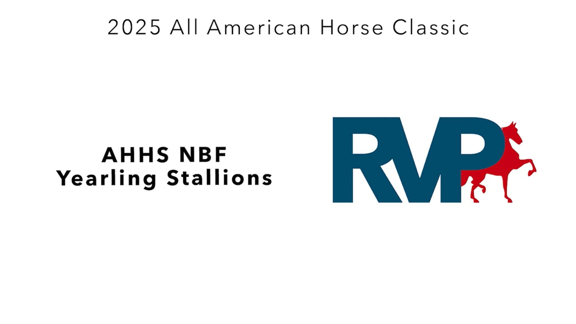 AAC25 - Class 17 - AHHS NBF Yearling Stallions