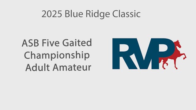 BRC25 - Class 228 - ASB Five Gaited C...