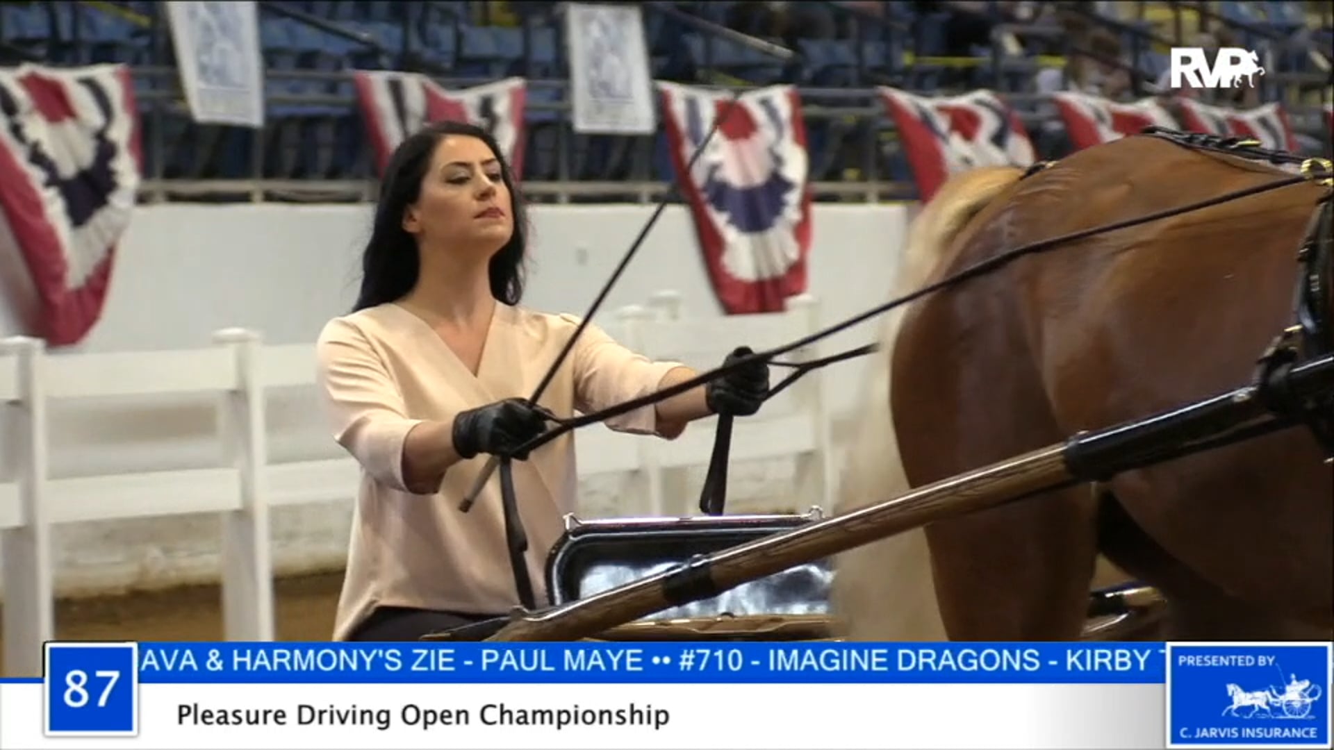 2020 BB - Class 87 Pleasure Driving Open Championship