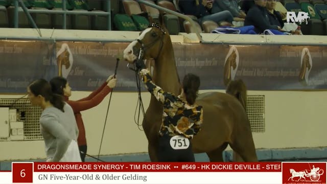 MGN23 - Class 6 - GN Five Year Old & ...