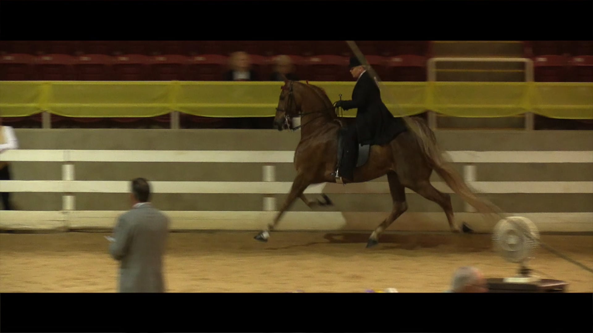 2016 Ashville 5 Gaited Hype Video