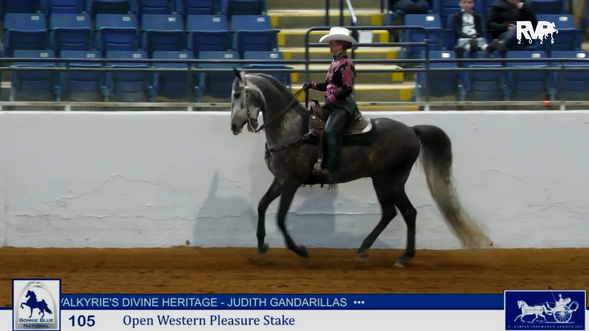 BB25 - Class 105 - Opportunity Western Pleasure Stake