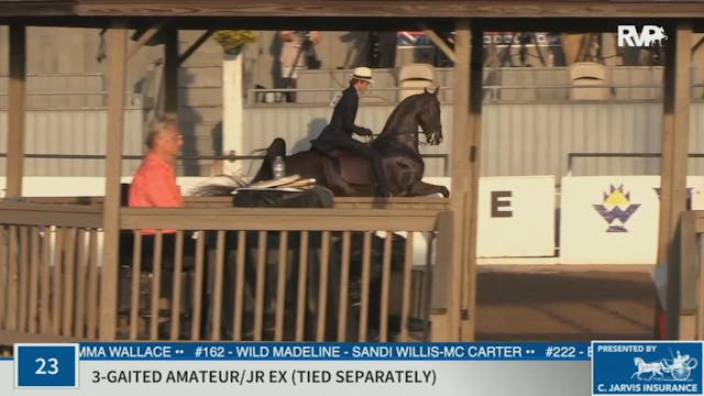 KYSP20 - Class 23 Three Gaited Amateu...