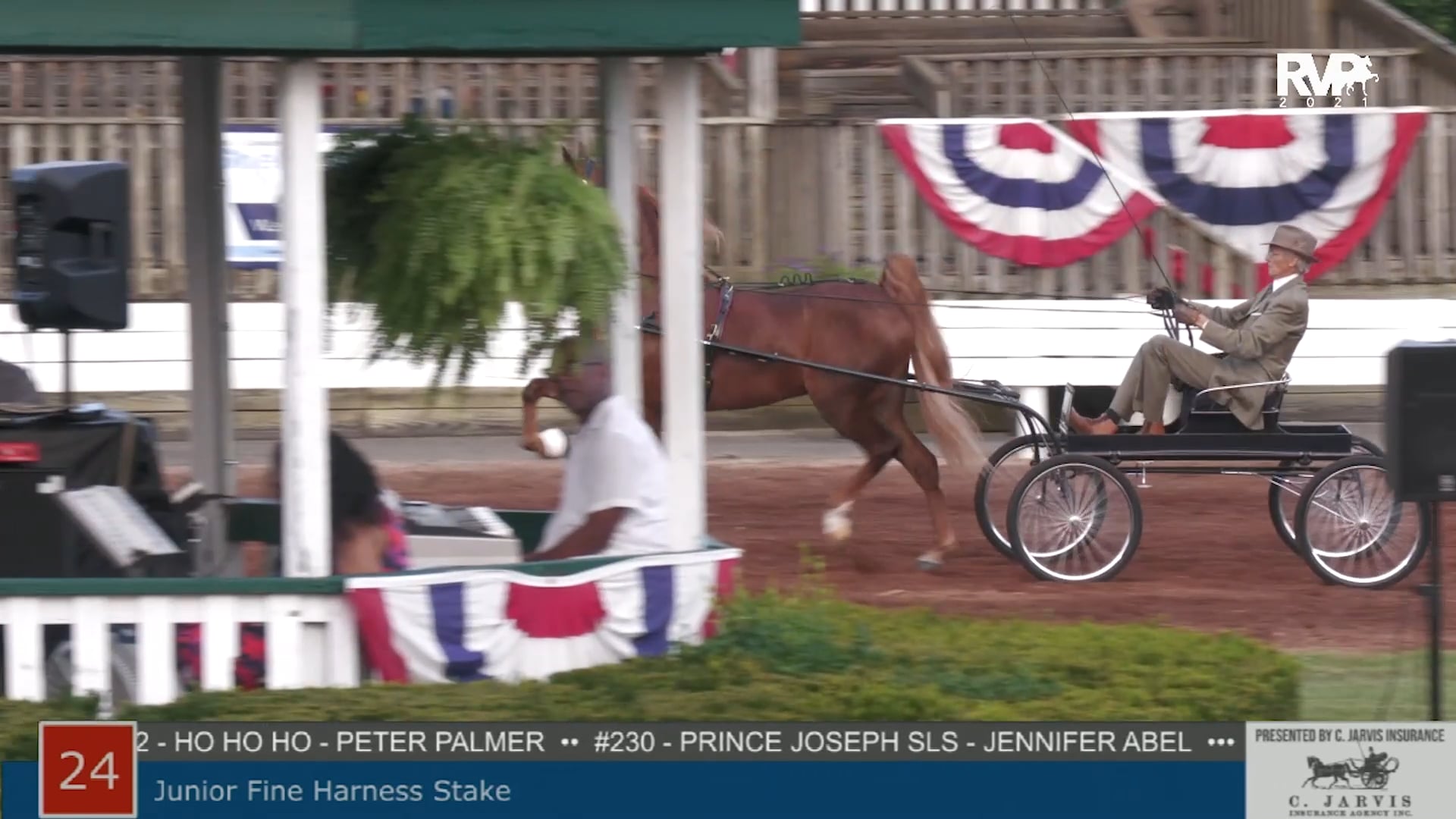 SHS21 - Class 24 -  Junior Fine Harness