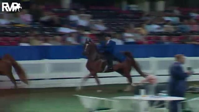 2004 World's Championship Horse Show ...