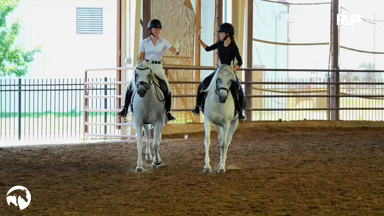 2025 Arabian Nationals - First Saturday - Pavilion