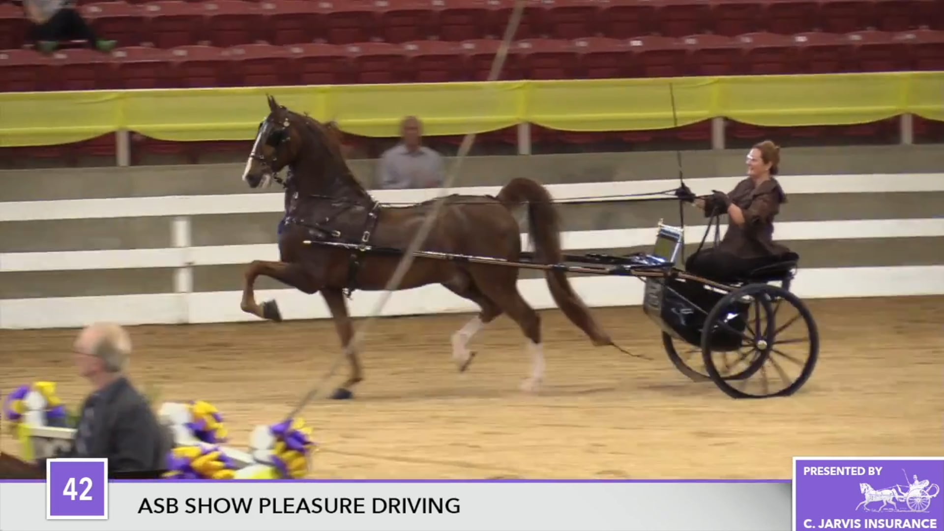 ALCB17 - Absolutely Amazing 