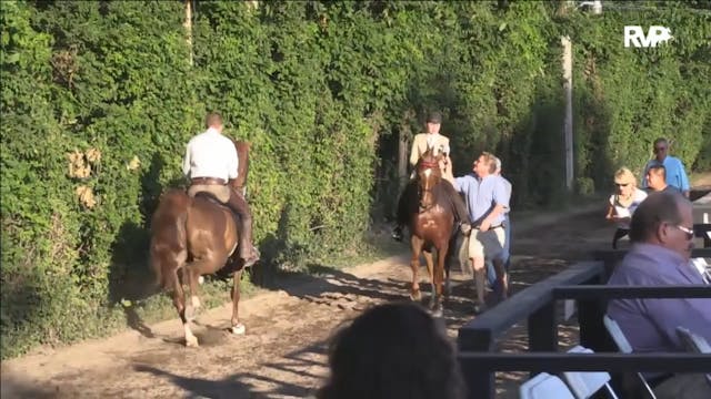 2016 RC - Class 75a Ladies Amateur Fi...