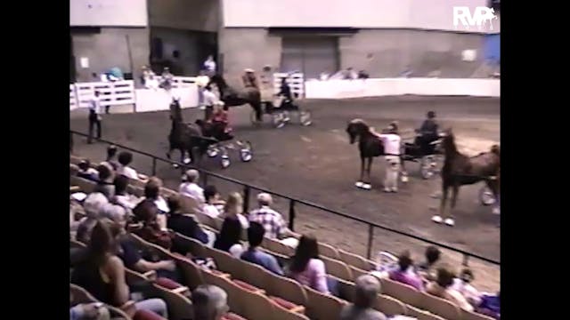 1998 Wisconsin Futurity - Junior Fine...