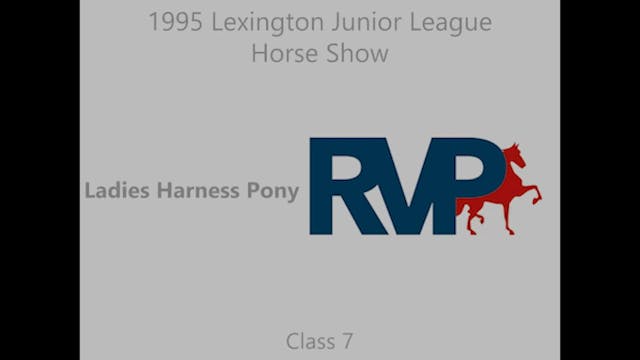LJL 1995 - Class 7 - Ladies Harness Pony