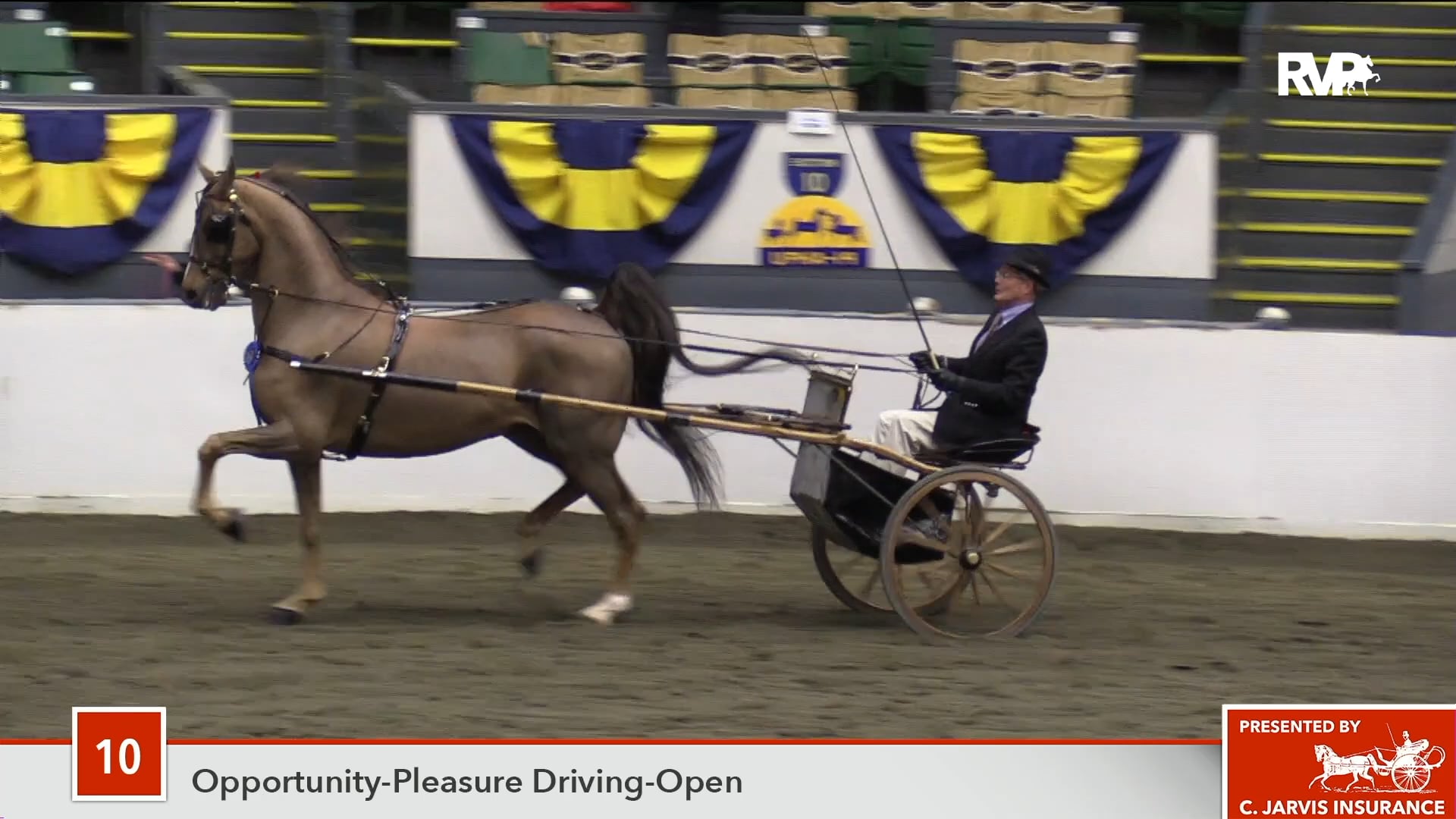 UPHA14-18 Class 10 Callaway's Must Have