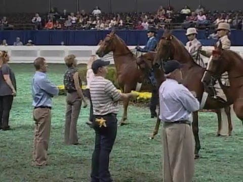 2008 WCHS Class 65 10 Year Old Walk-T...