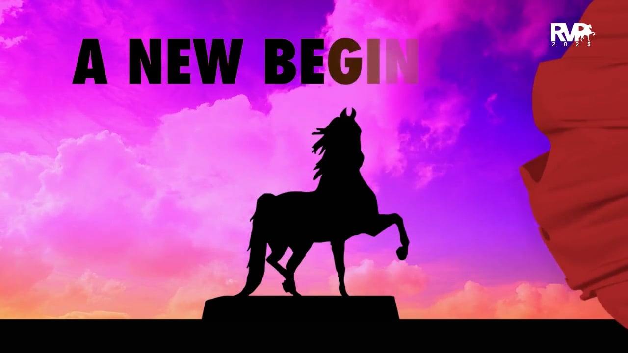 2025 Morgan Grand National - Tuesday Afternoon - Barn 8