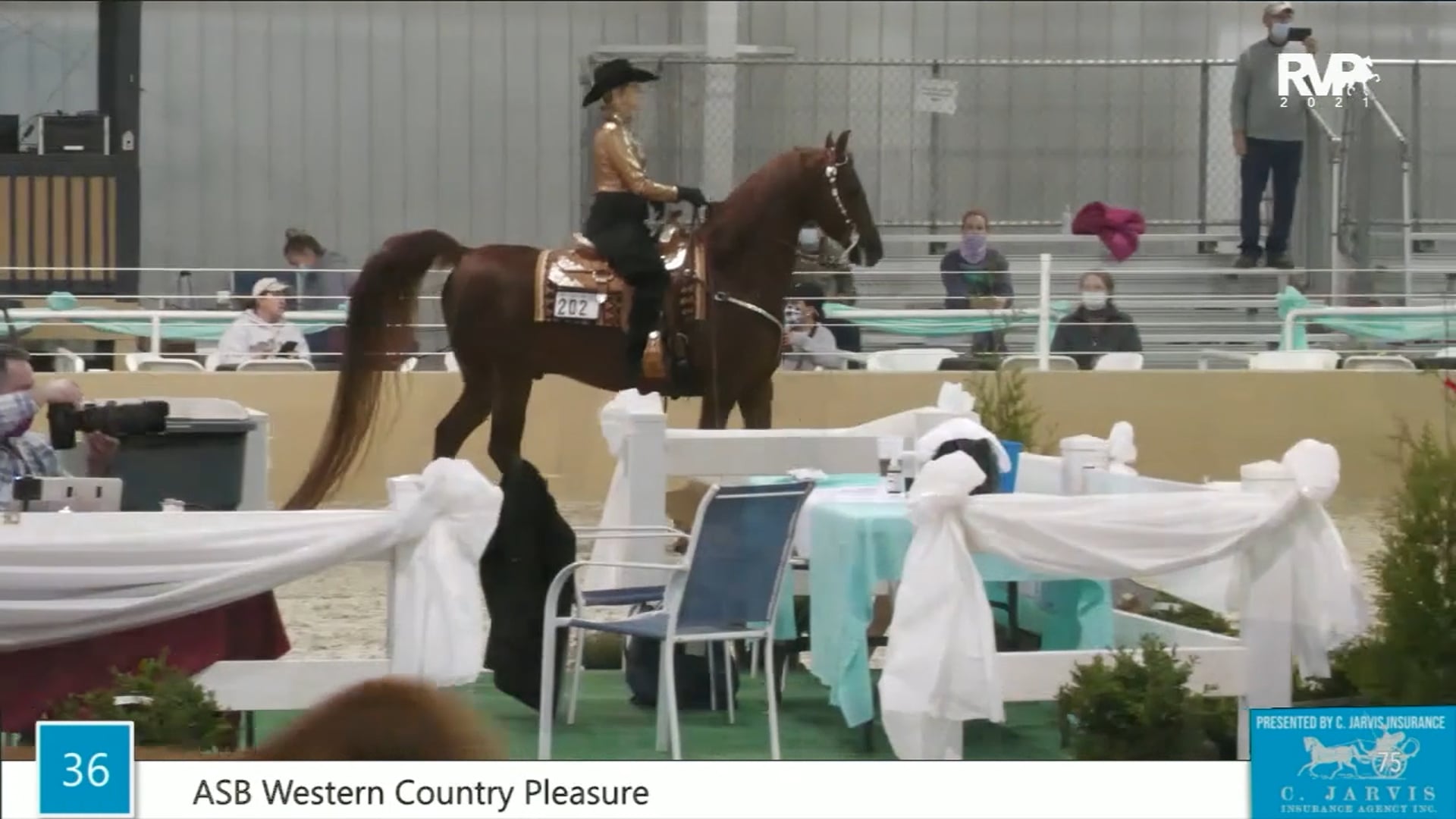 BS21 - Class 36 - ASB Western Country Pleasure Open