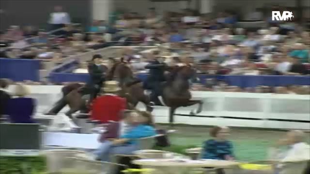 2000 WCHS Class 151 Five Gaited Geldi...