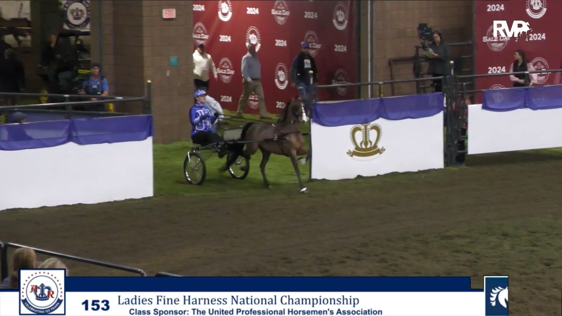 AR24 - Class 158 - Amateur Roadster Pony to Bike National Championship