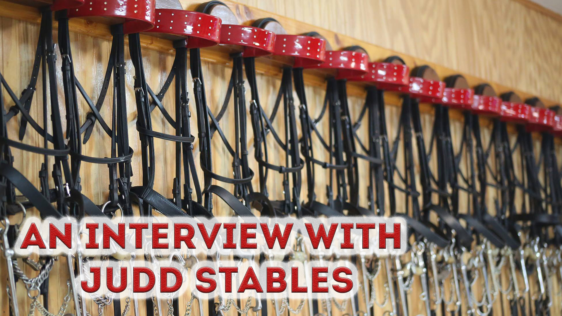 An Interview With Judd Stables
