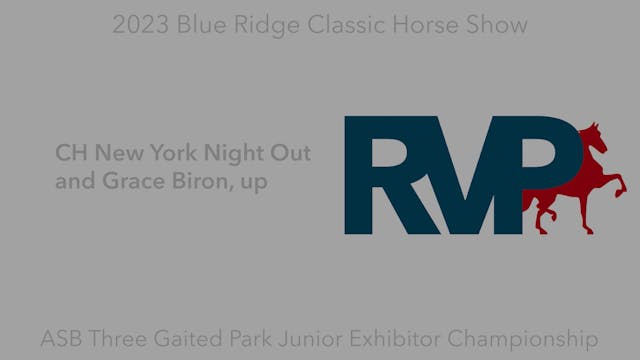 BR23 - Class 164 - CH New York Night ...