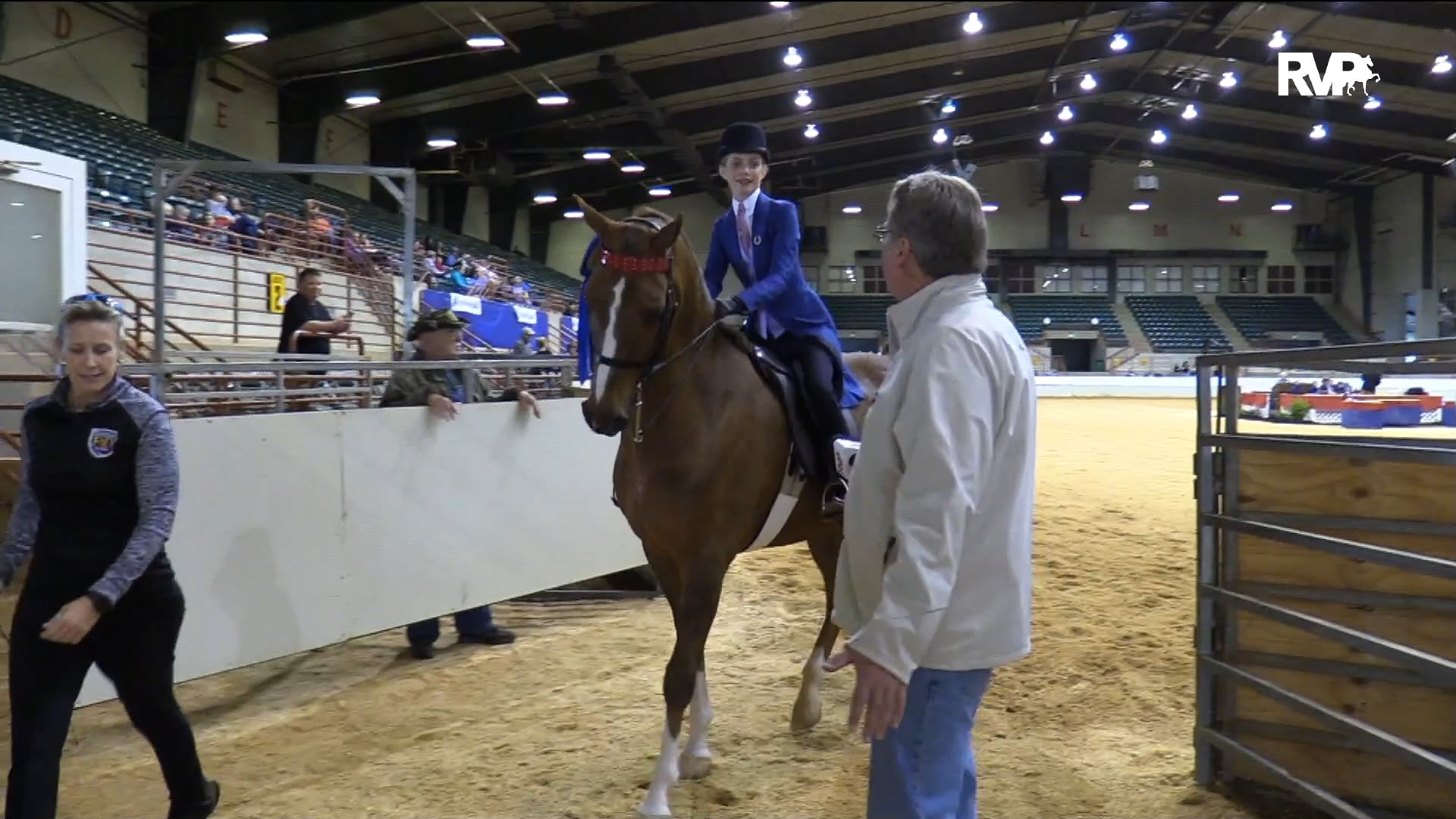 PA18 Class 61 CH Stonecroft Ring Leader