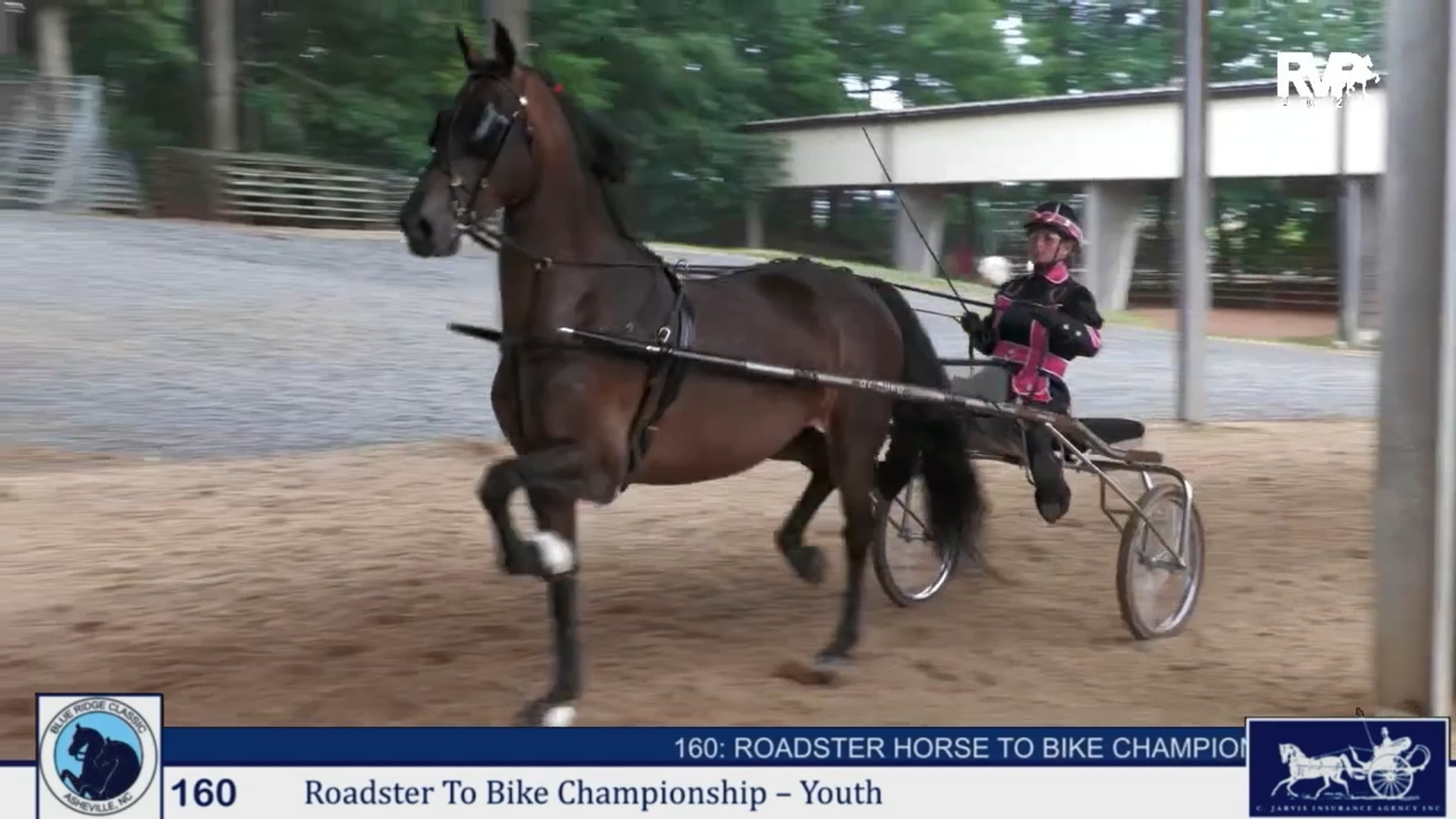 BRC25 - Class 160 - Roadster Horse to Bike Championship-Youth