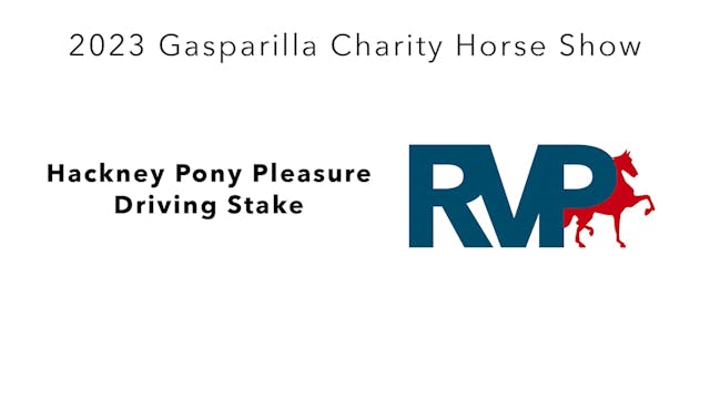 GASP23 - Class 116 - Hackney Pony Ple...