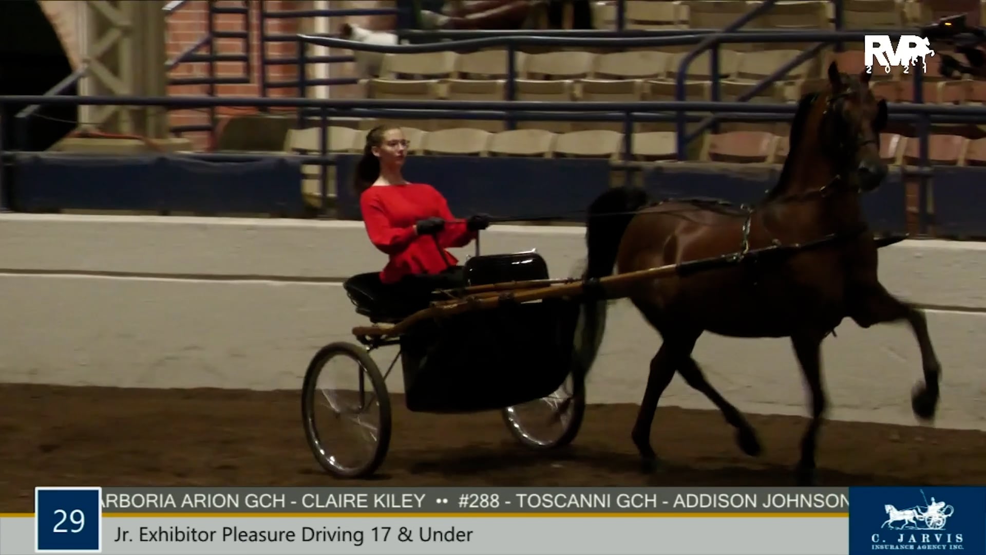 MJ21 - Class 29 - Junior Exhibitor Pleasure Driving, 17 & Under