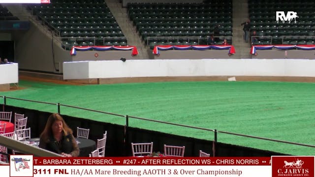 AN25 - Class 3111 - HA-AA Mare Breedi...