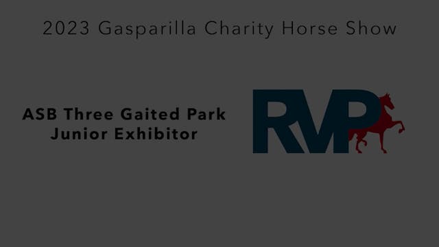 GASP23 - Class 27 - ASB Three Gaited ...