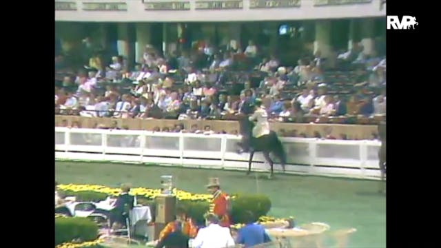 1988 WCHS Class 132 Three Gaited Pony...