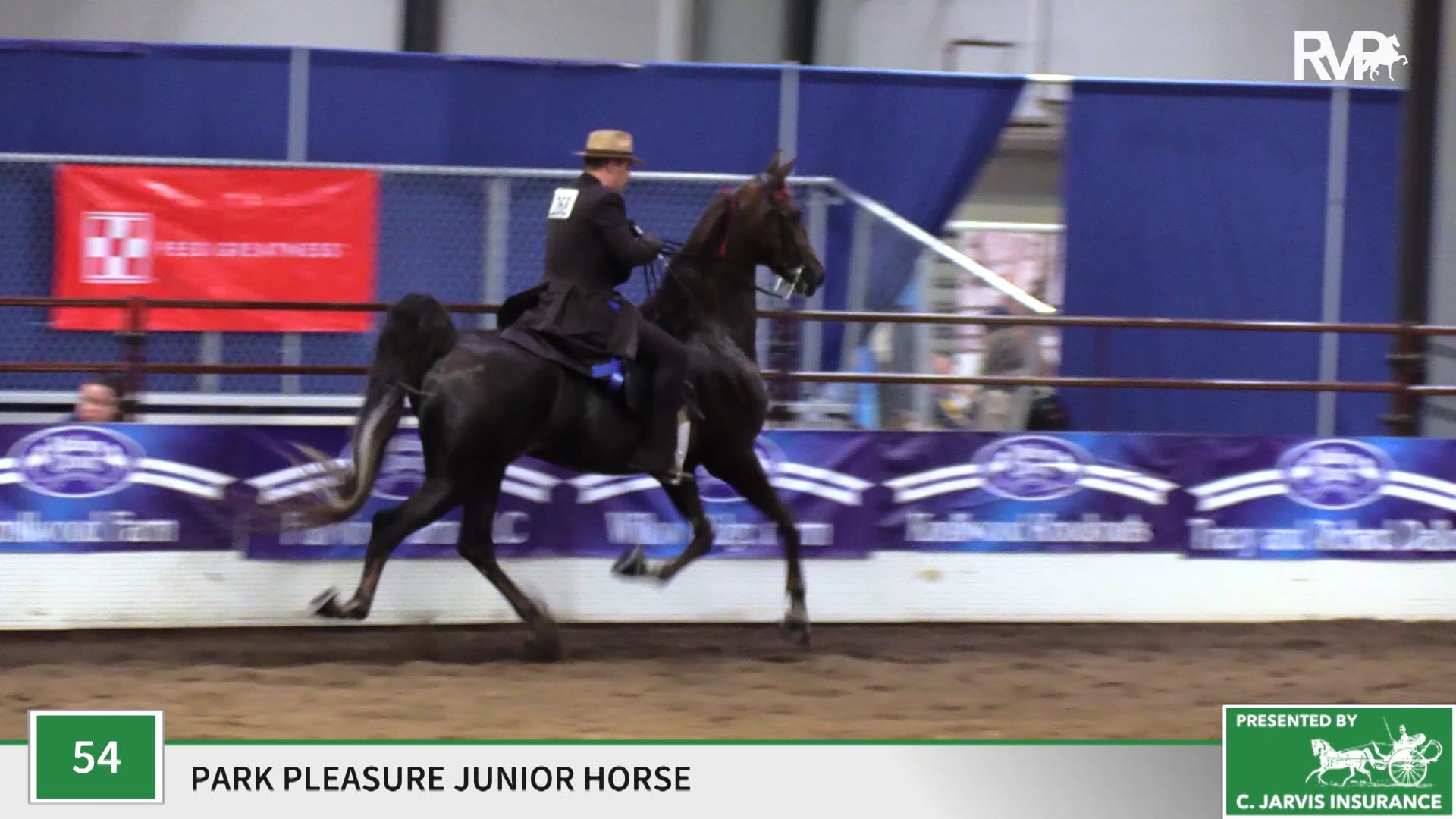 MC19 - Class 54 - Seamus Heaney