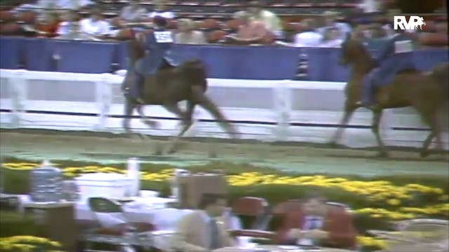 1991 WCHS Class 56 Equitation Open Ri...
