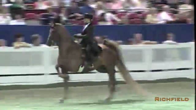 1998 WCHS - Junior Exhibitor Three Ga...