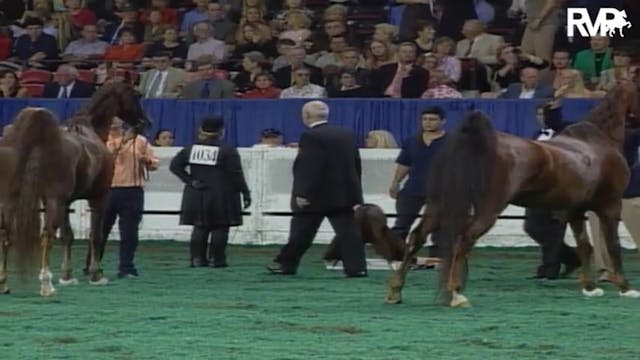 2004 World's Championship Horse Show ...