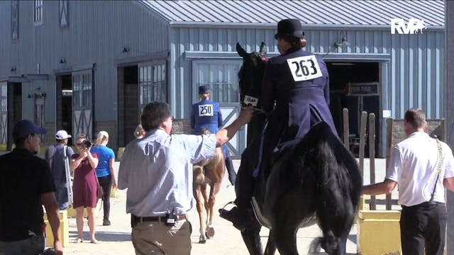 KFC19 - Class 19 - CH My Royale Prince