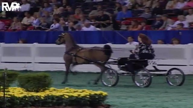 2004 World's Championship Horse Show ...