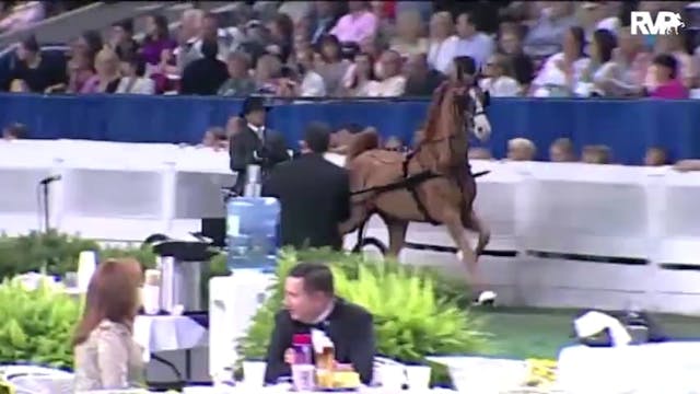 2010 World's Championship Horse Show ...