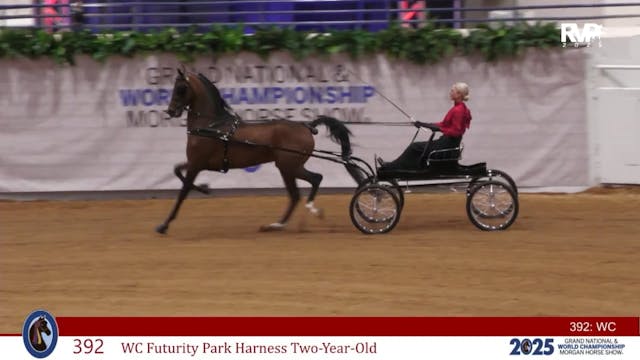 MGN25 - Class 392 - WC Futurity Park ...